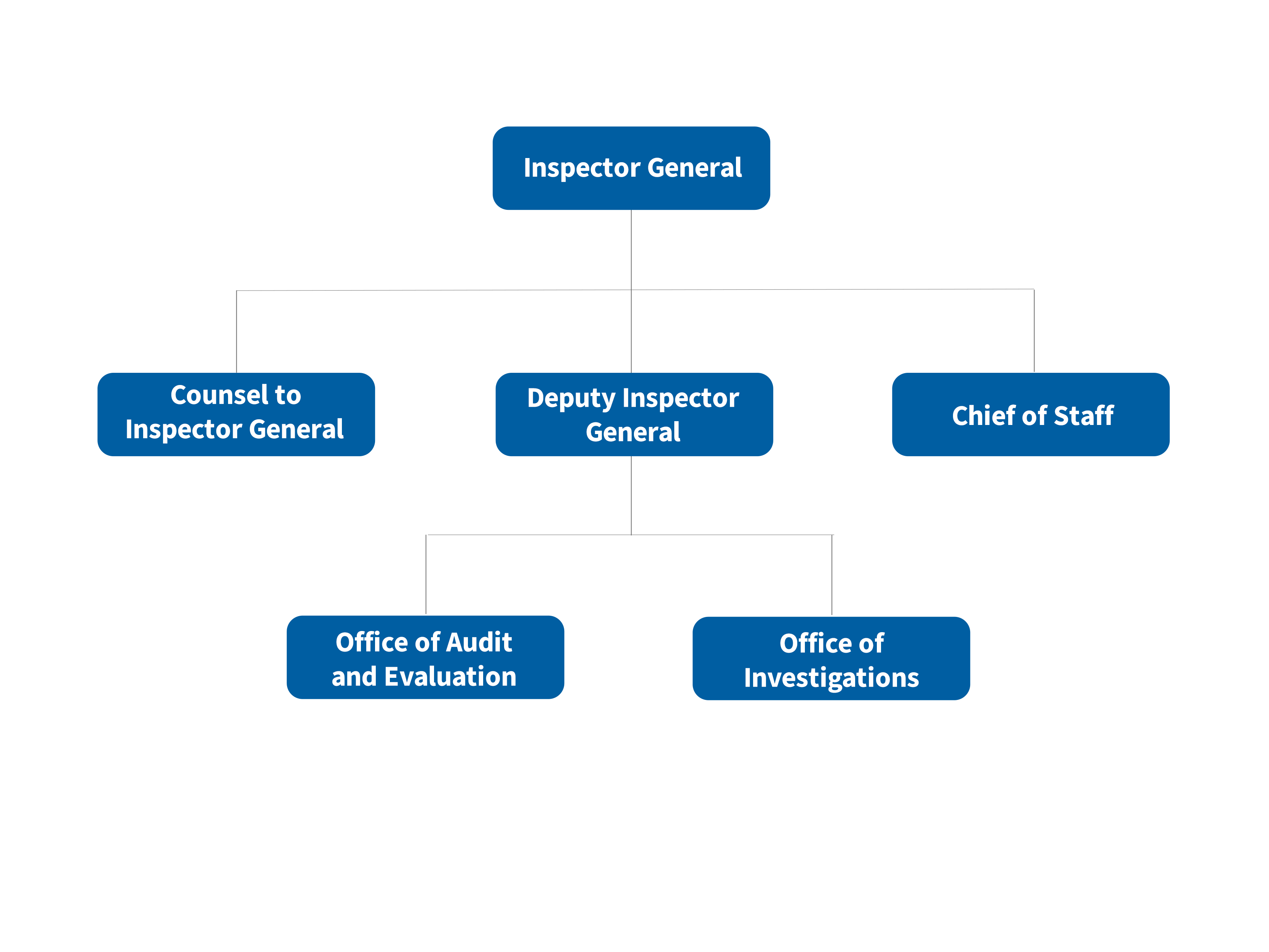 OIG Organization Chart